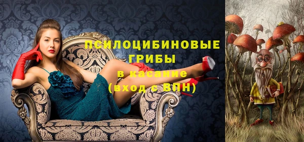 винт Абинск