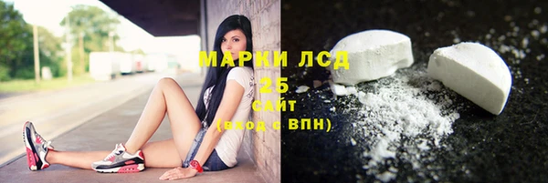 хмурый Абаза