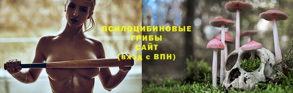 винт Абинск