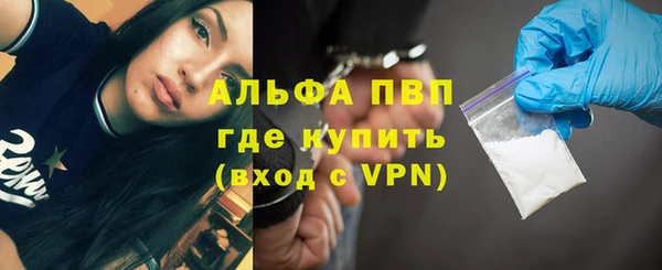 хмурый Абаза