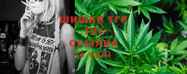 хмурый Абаза