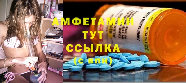 хмурый Абаза