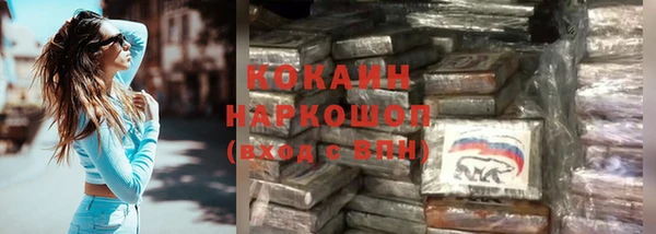 хмурый Абаза