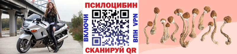 Псилоцибиновые грибы Cubensis  Духовщина 