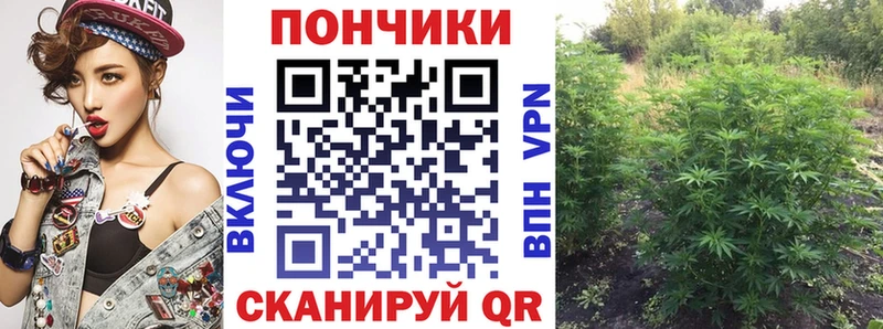 МАРИХУАНА сатива что такое наркотик Духовщина